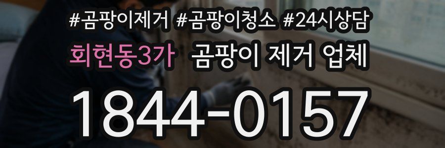 회현동3가 곰팡이 제거 업체