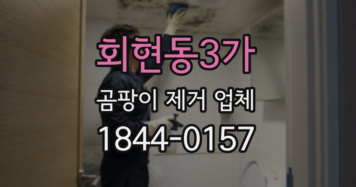 회현동3가 곰팡이 제거 업체