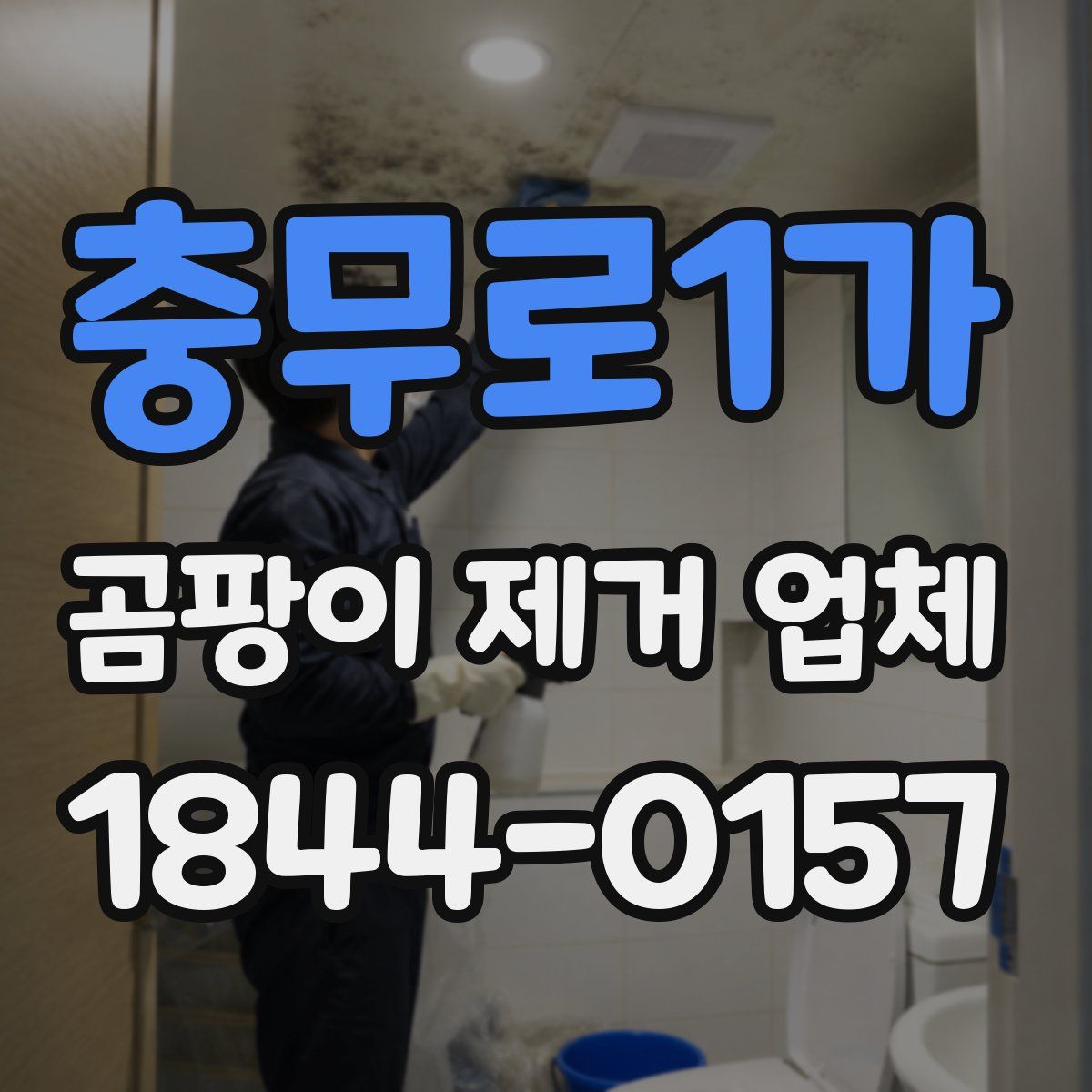 충무로1가 곰팡이 제거 업체