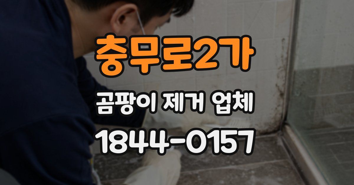충무로2가 곰팡이 제거 업체