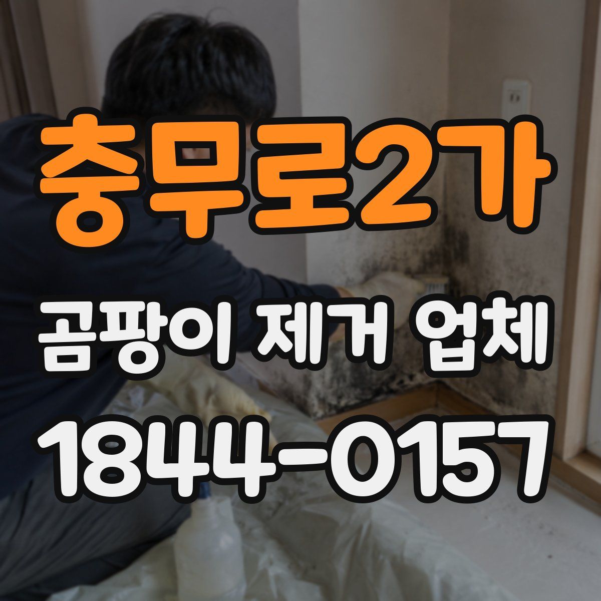 충무로2가 곰팡이 제거 업체
