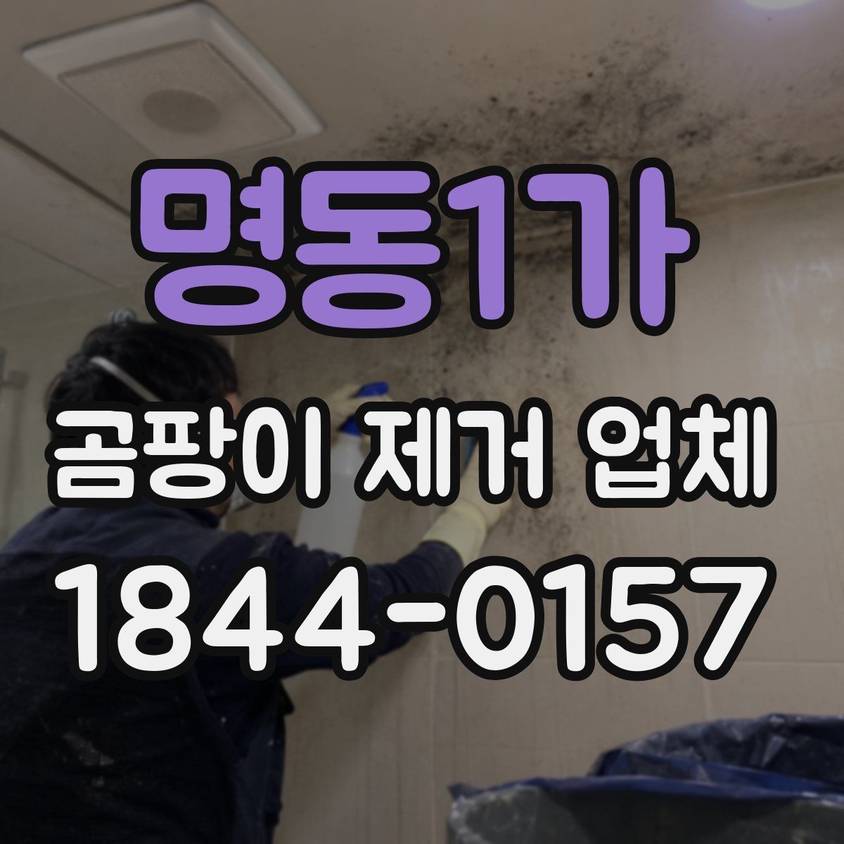 명동1가 곰팡이 제거 업체