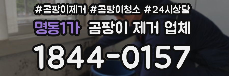 명동1가 곰팡이 제거 업체