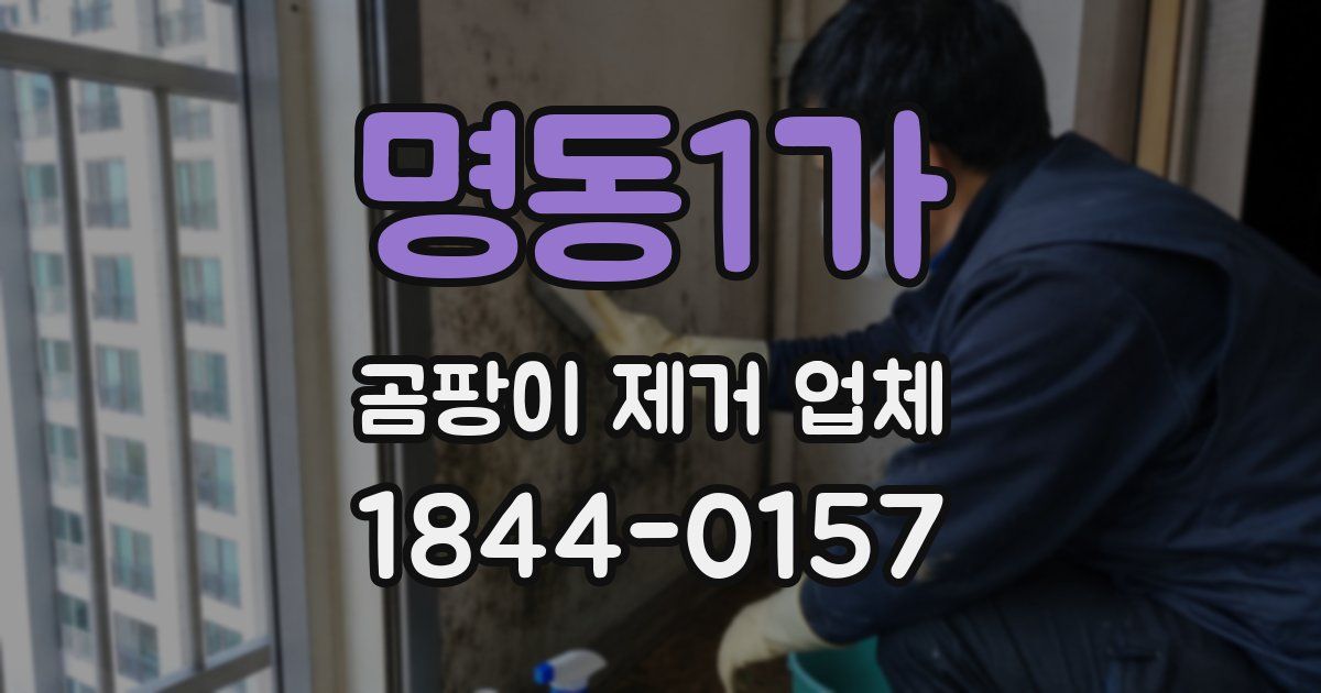 명동1가 곰팡이 제거 업체