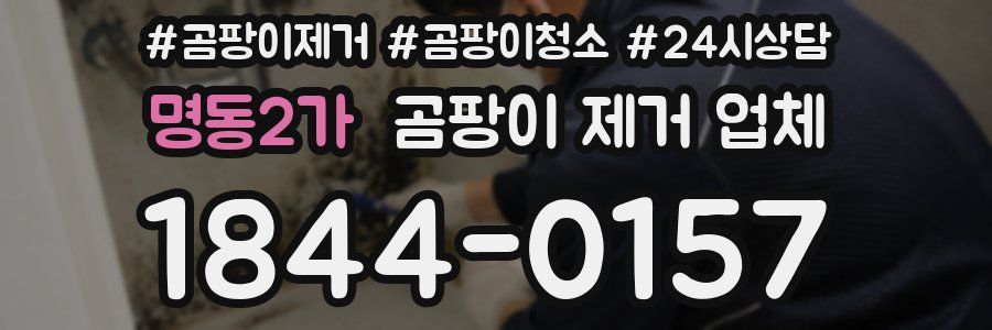 명동2가 곰팡이 제거 업체