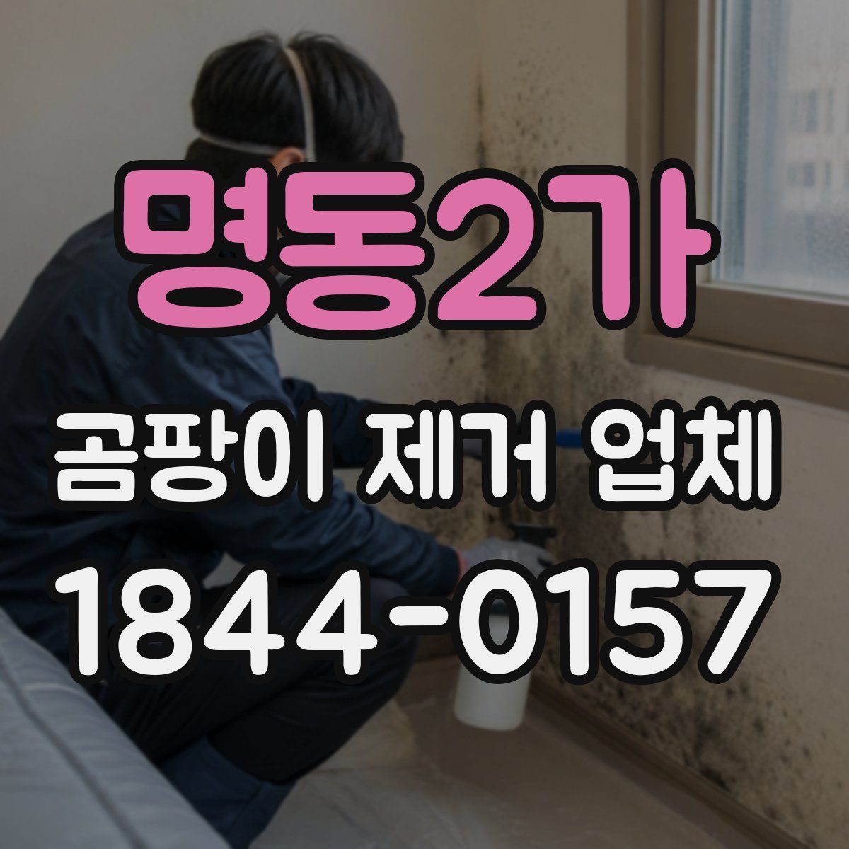 명동2가 곰팡이 제거 업체