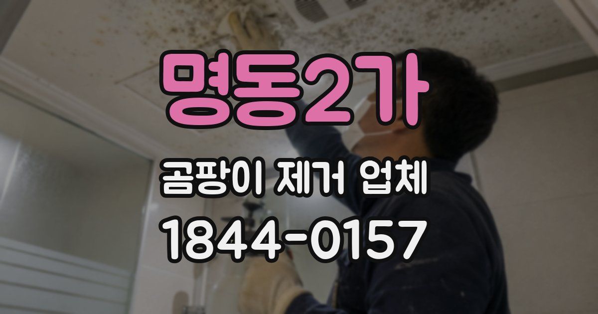 명동2가 곰팡이 제거 업체
