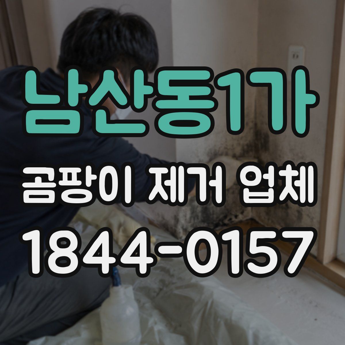 남산동1가 곰팡이 제거 업체