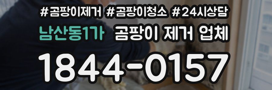 남산동1가 곰팡이 제거 업체
