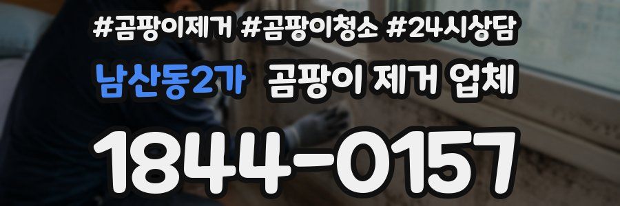 남산동2가 곰팡이 제거 업체