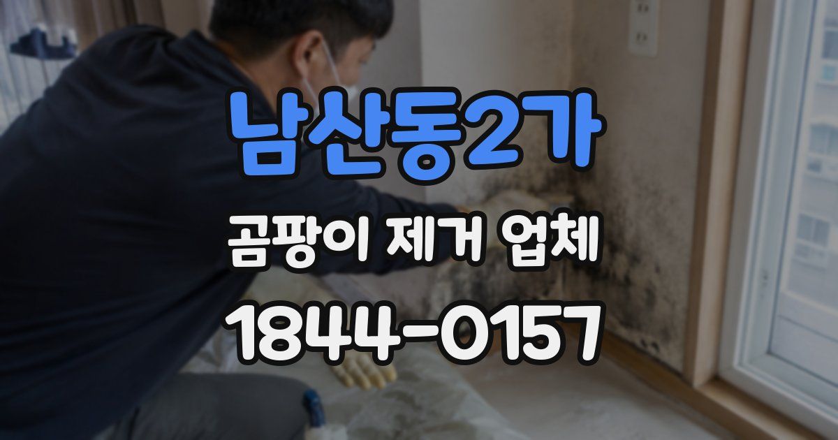 남산동2가 곰팡이 제거 업체