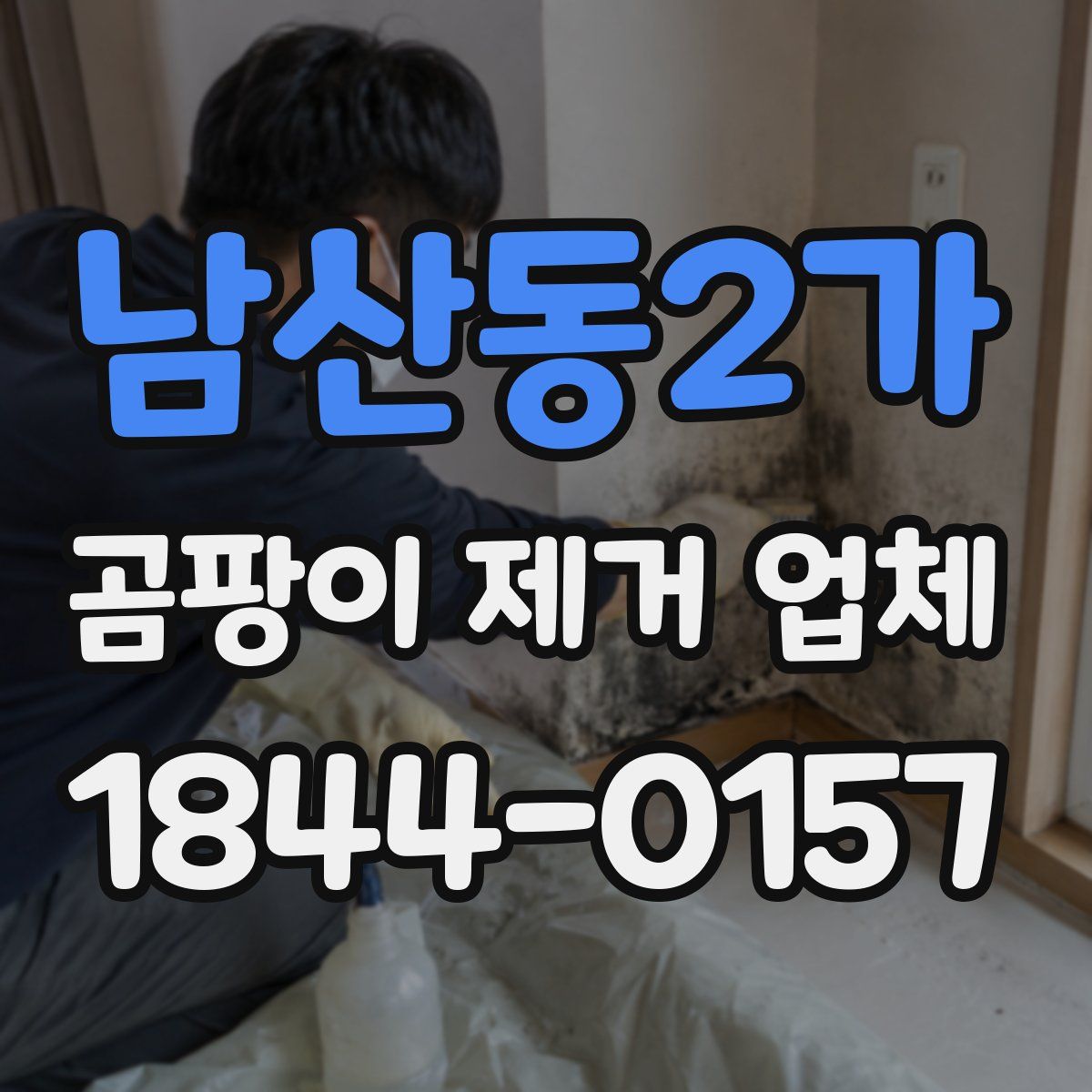 남산동2가 곰팡이 제거 업체