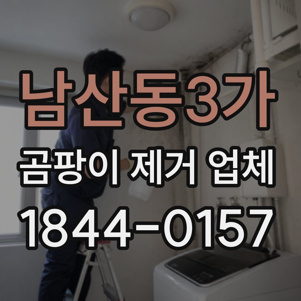 남산동3가 곰팡이 제거 업체