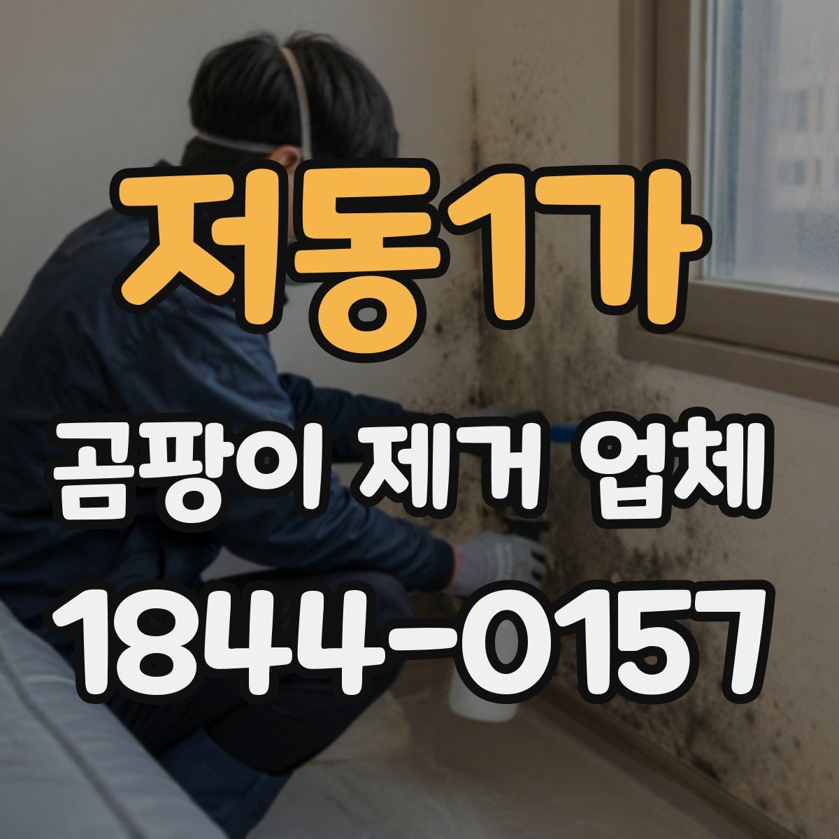 저동1가 곰팡이 제거 업체