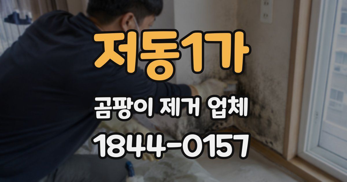 저동1가 곰팡이 제거 업체
