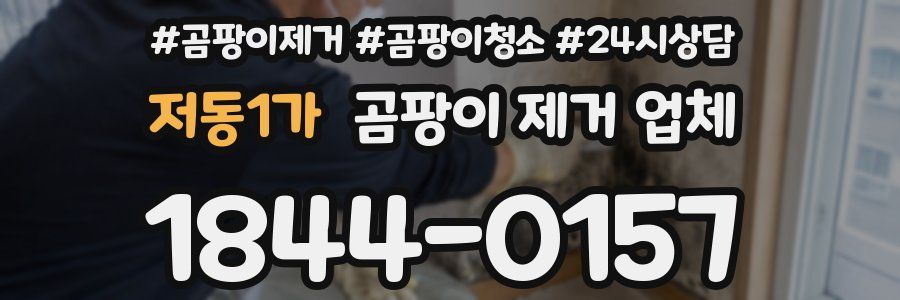 저동1가 곰팡이 제거 업체