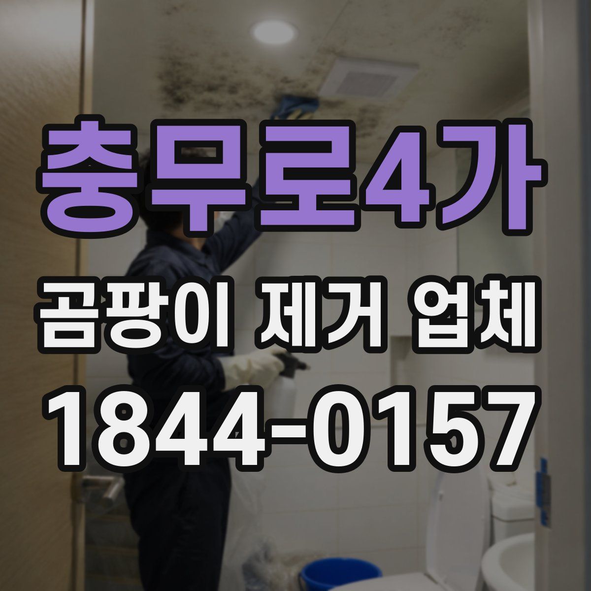 충무로4가 곰팡이 제거 업체