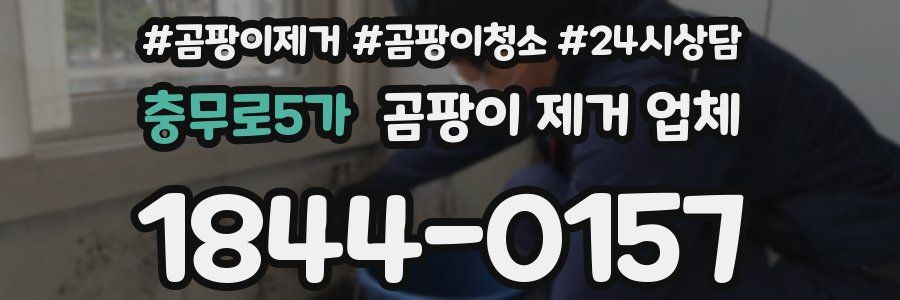 충무로5가 곰팡이 제거 업체