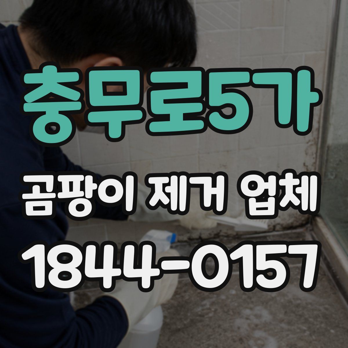 충무로5가 곰팡이 제거 업체
