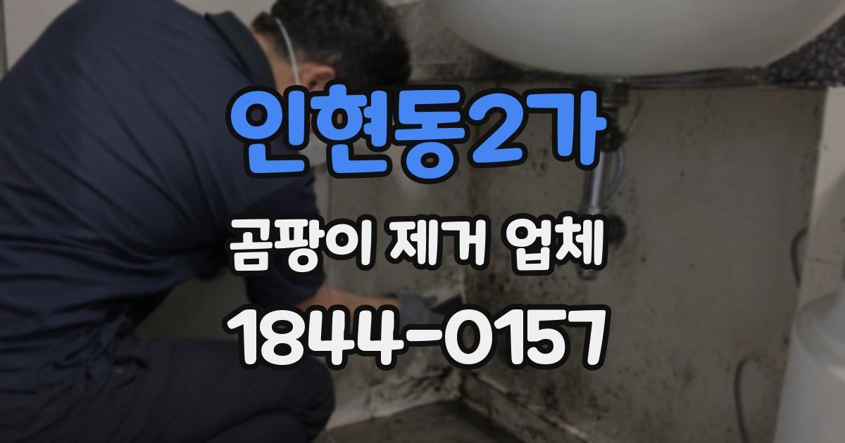 인현동2가 곰팡이 제거 업체