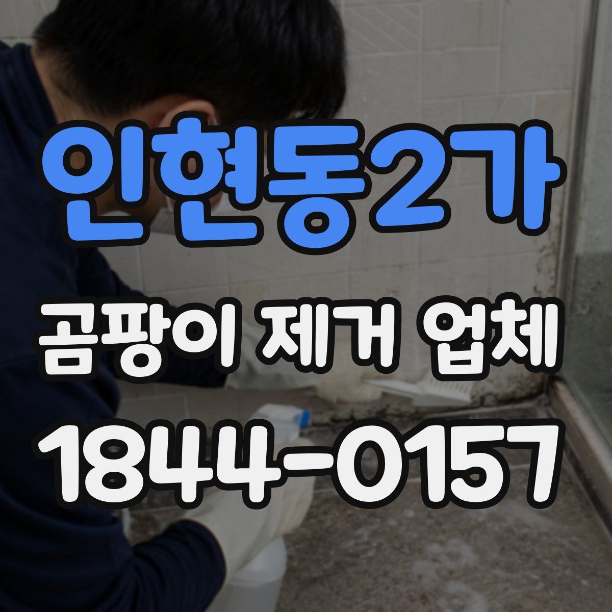 인현동2가 곰팡이 제거 업체