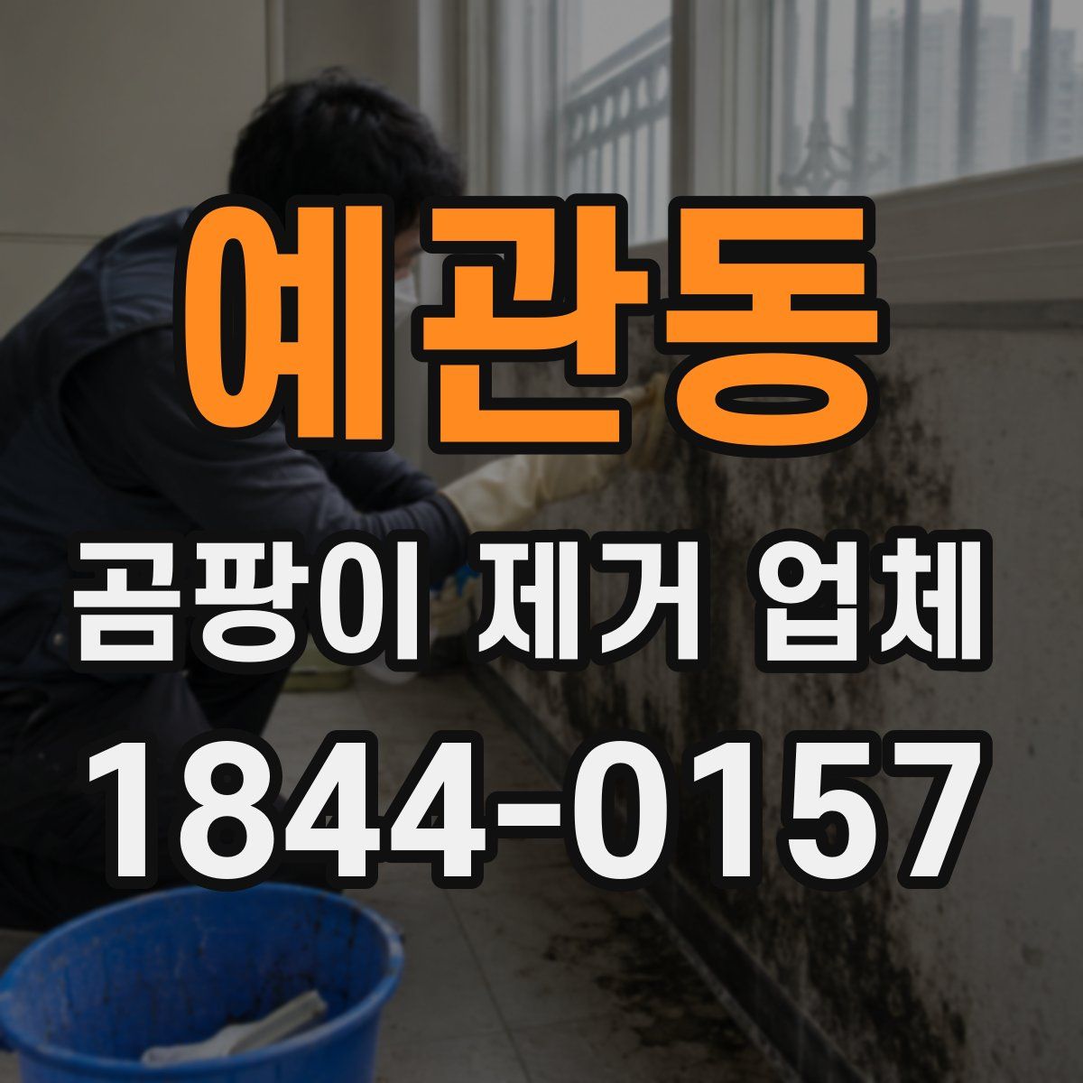 예관동 곰팡이 제거 업체