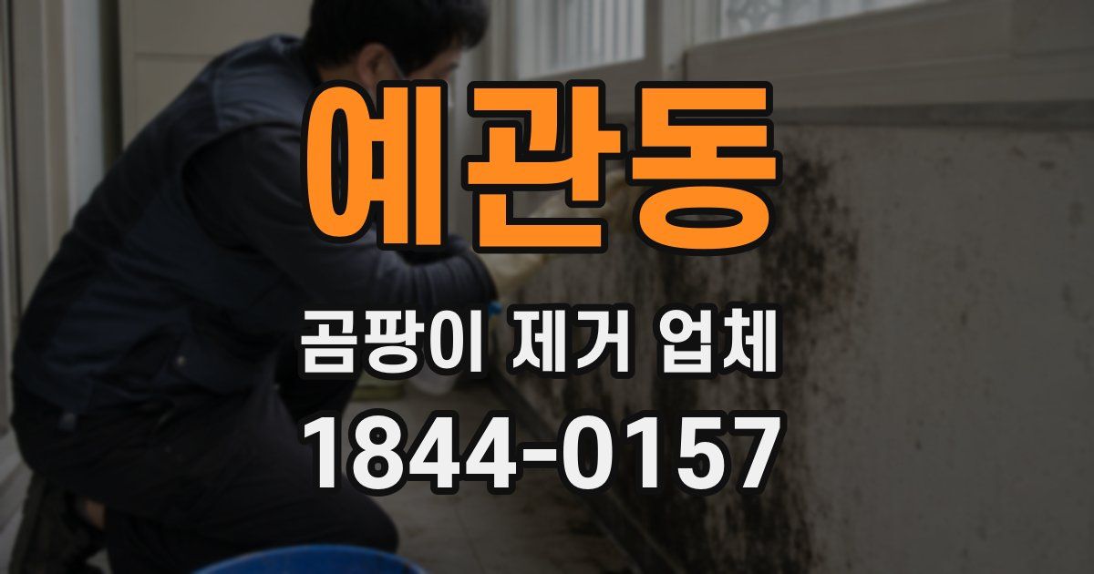 예관동 곰팡이 제거 업체