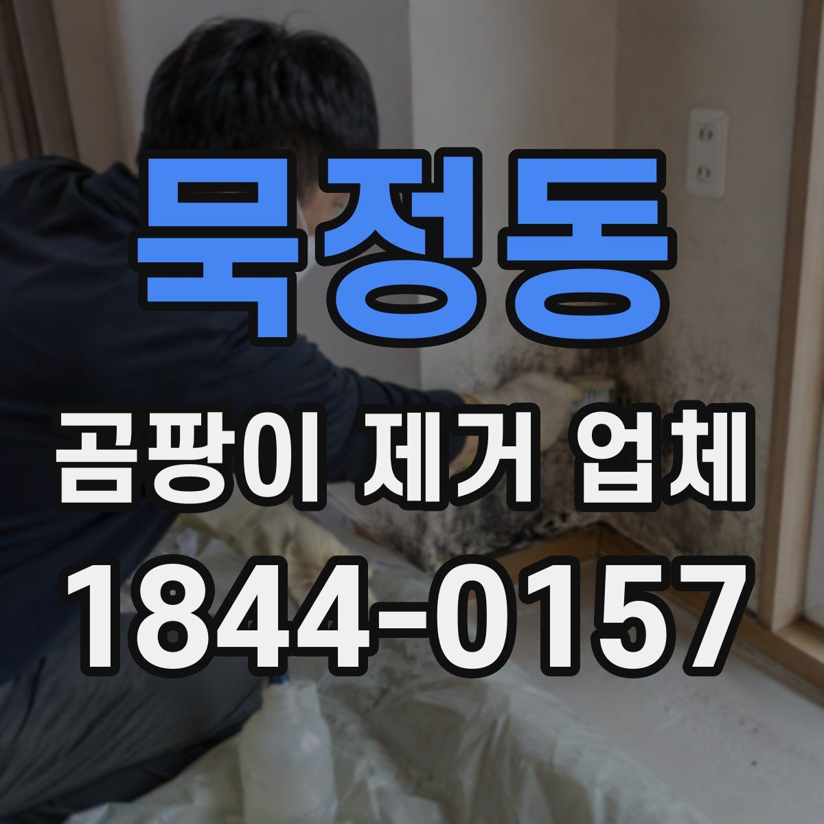 묵정동 곰팡이 제거 업체