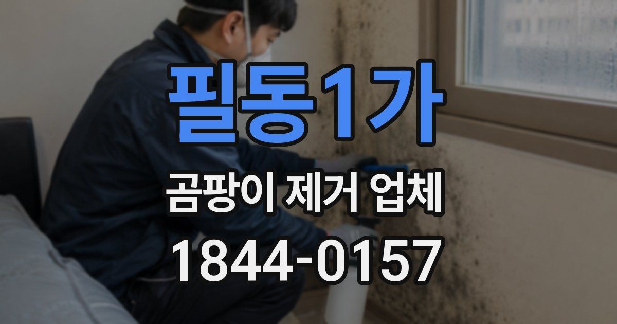 필동1가 곰팡이 제거 업체