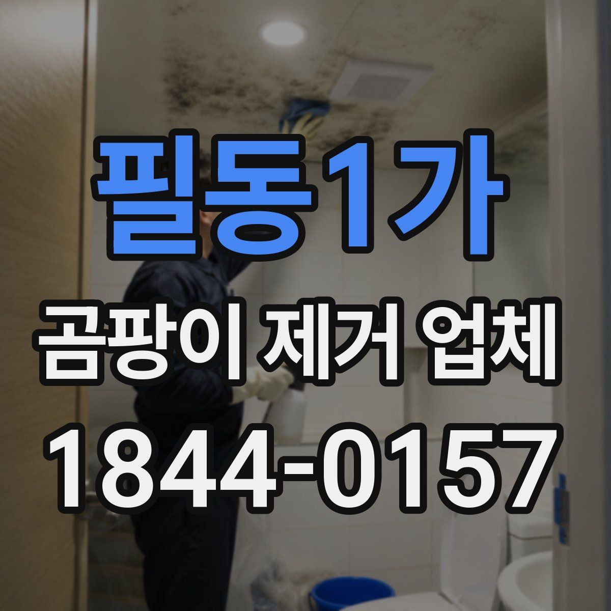 필동1가 곰팡이 제거 업체