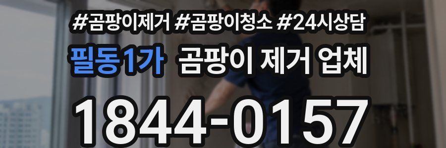 필동1가 곰팡이 제거 업체