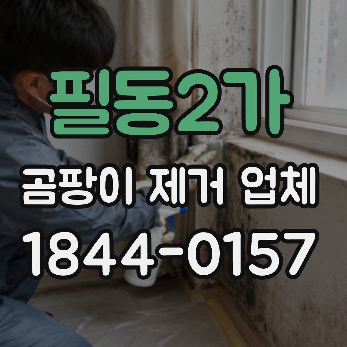 필동2가 곰팡이 제거 업체 오염 부위별 제거 계획을 세우는 방법