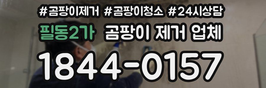 필동2가 곰팡이 제거 업체