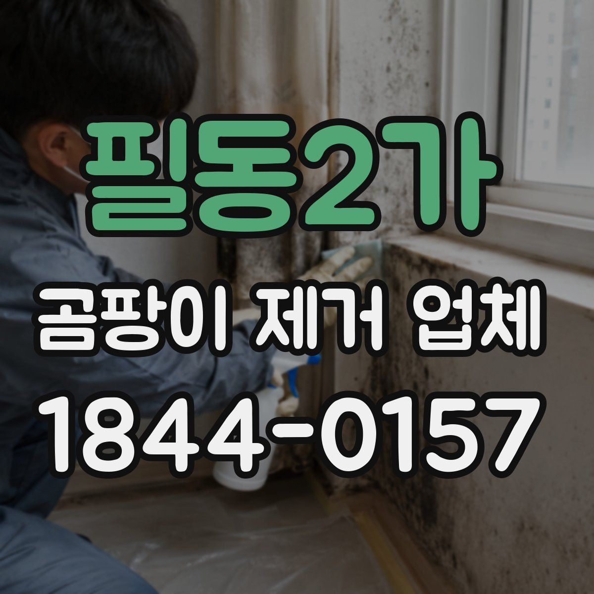 필동2가 곰팡이 제거 업체