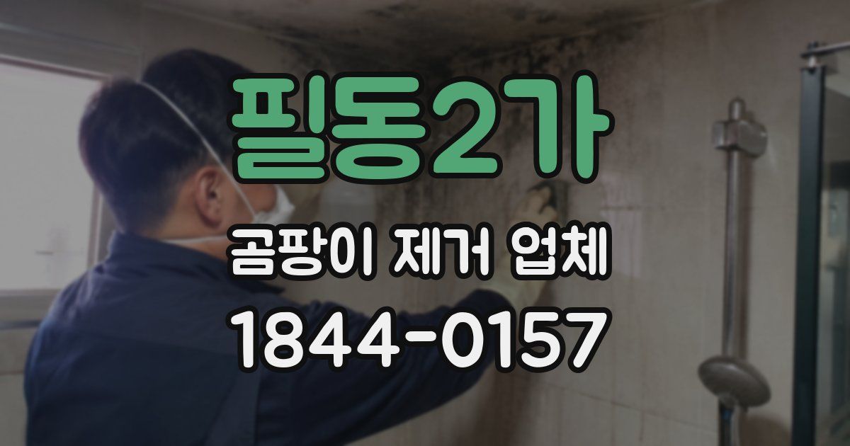 필동2가 곰팡이 제거 업체