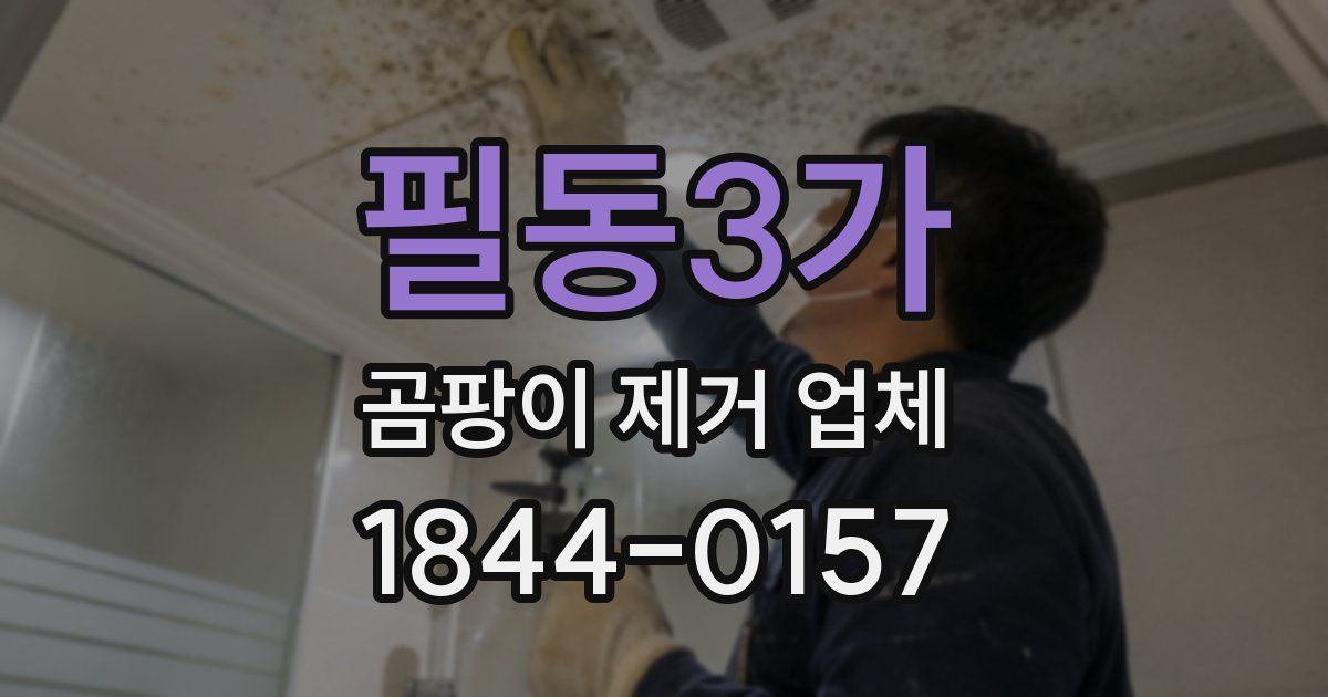필동3가 곰팡이 제거 업체