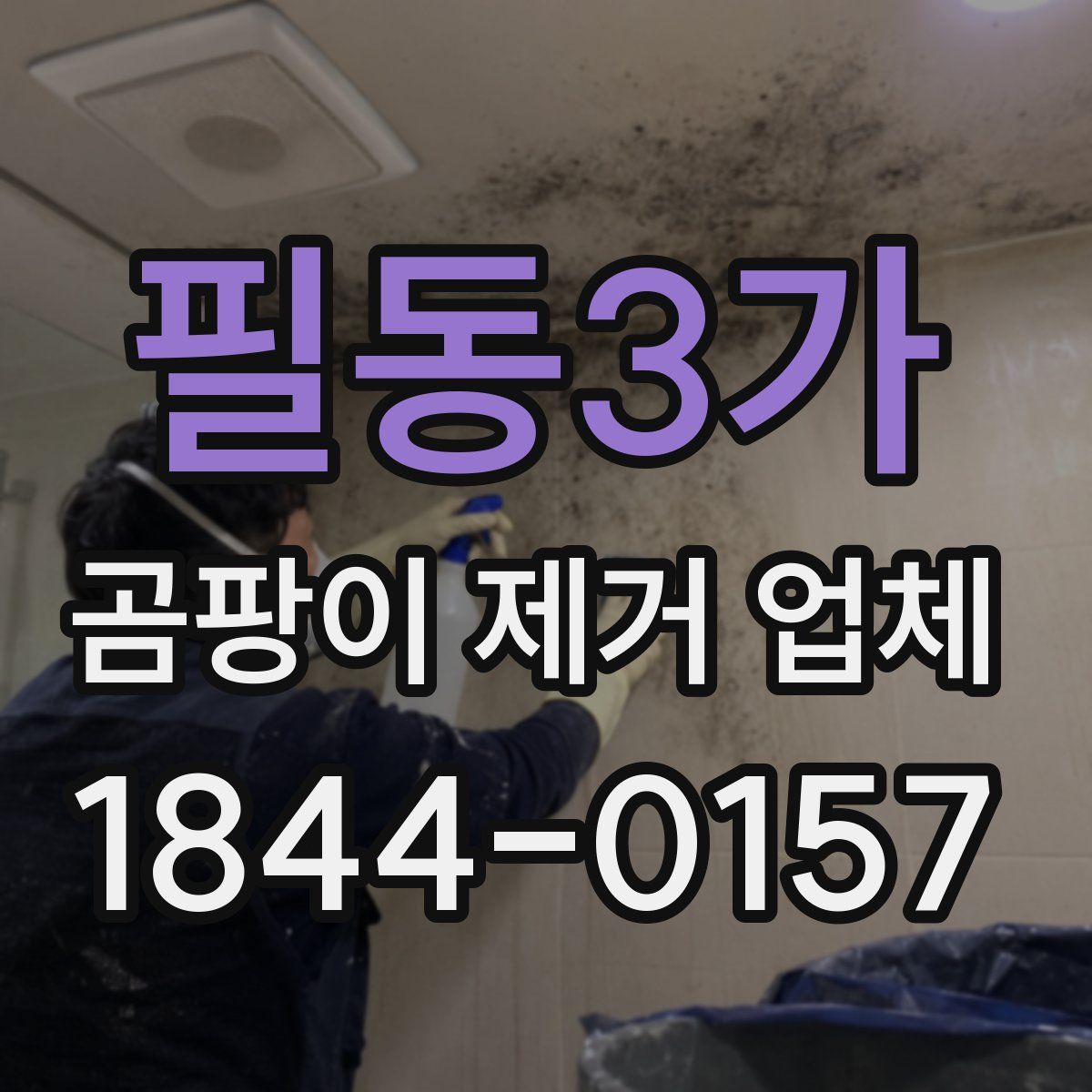 필동3가 곰팡이 제거 업체