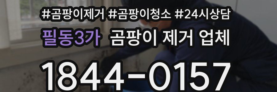 필동3가 곰팡이 제거 업체