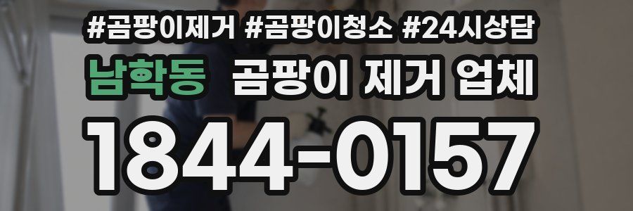 남학동 곰팡이 제거 업체