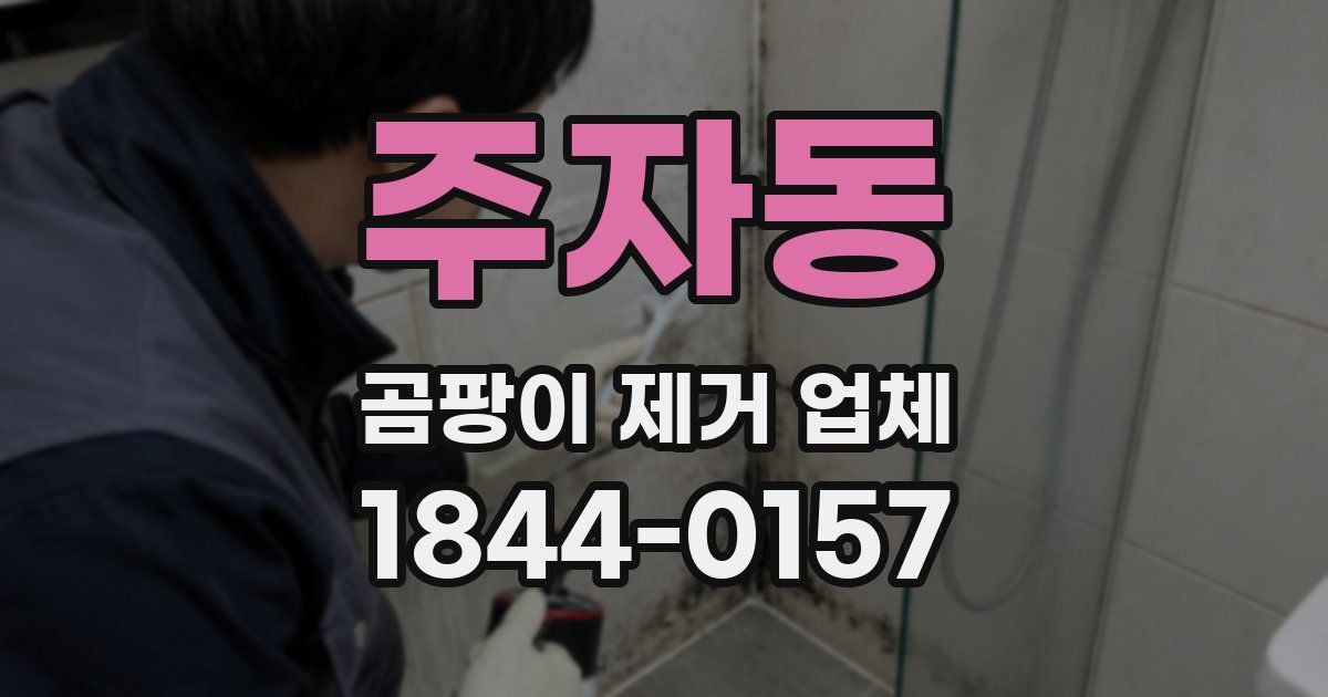 주자동 곰팡이 제거 업체