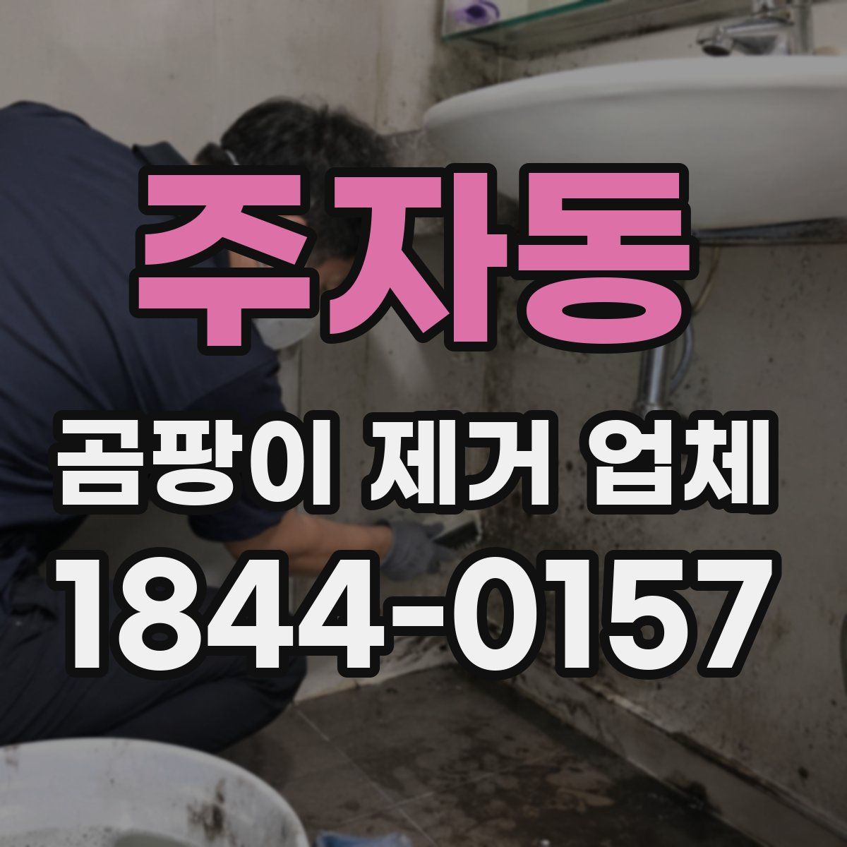 주자동 곰팡이 제거 업체