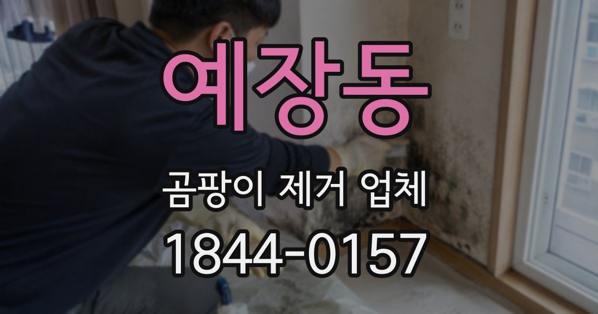 예장동 곰팡이 제거 업체