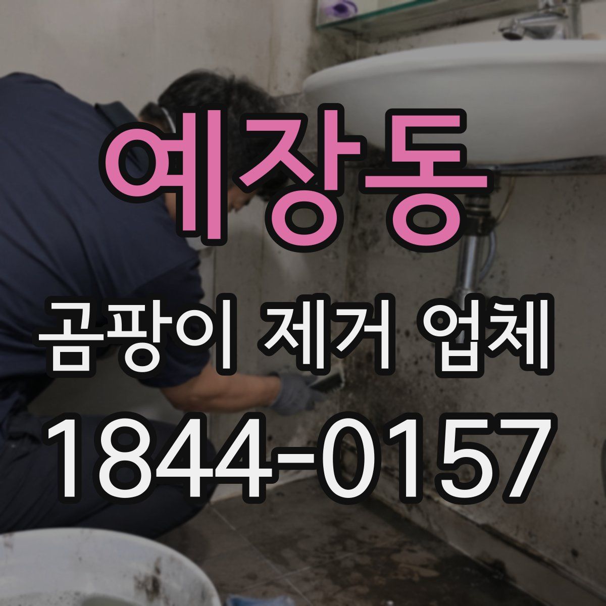 예장동 곰팡이 제거 업체