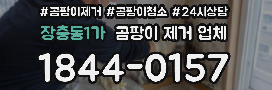 장충동1가 곰팡이 제거 업체