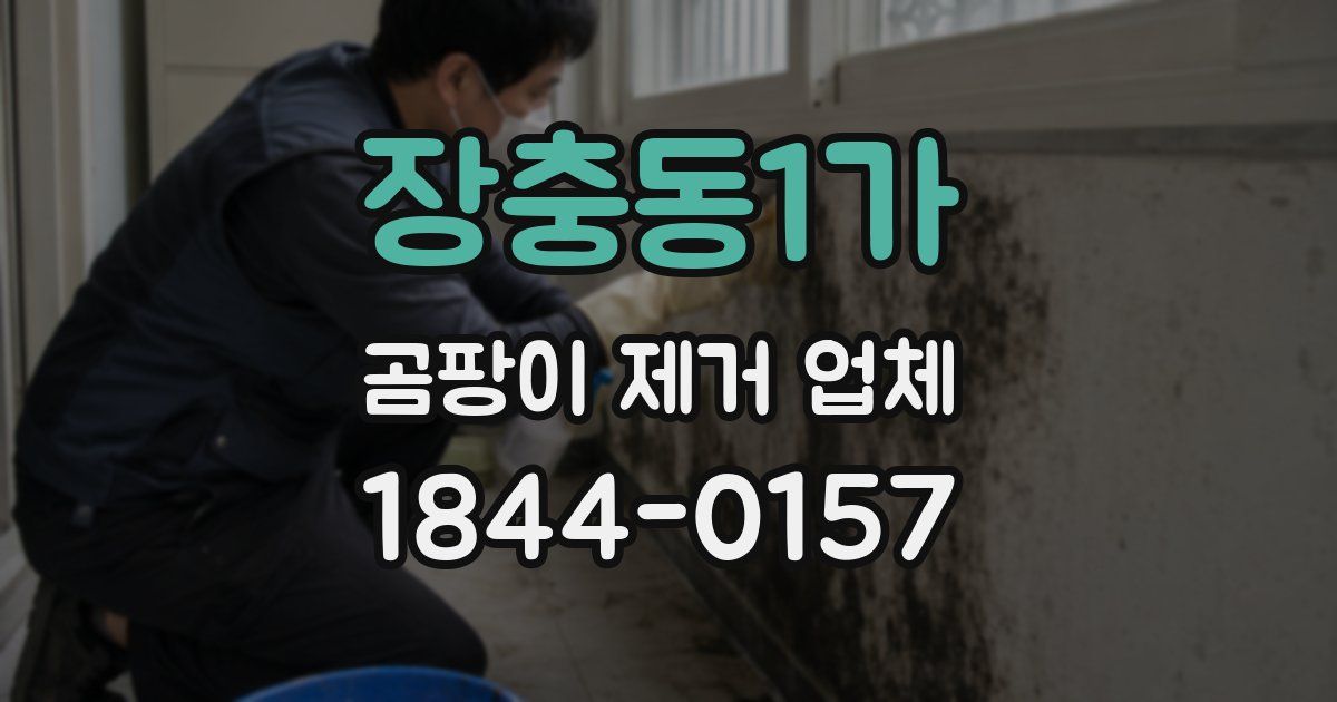 장충동1가 곰팡이 제거 업체