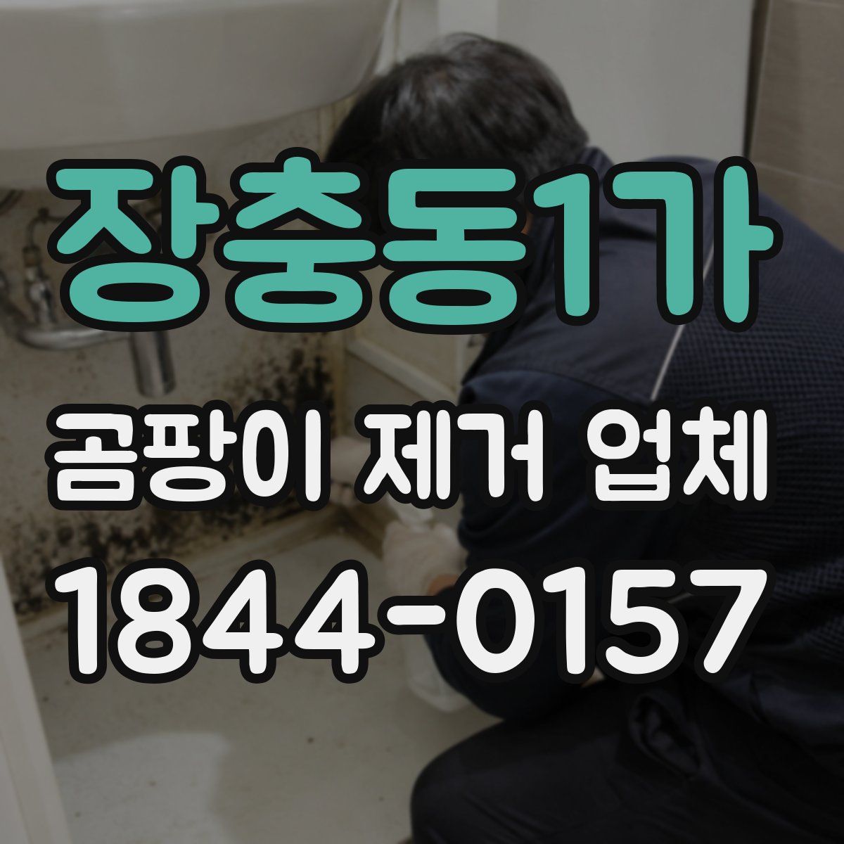 장충동1가 곰팡이 제거 업체