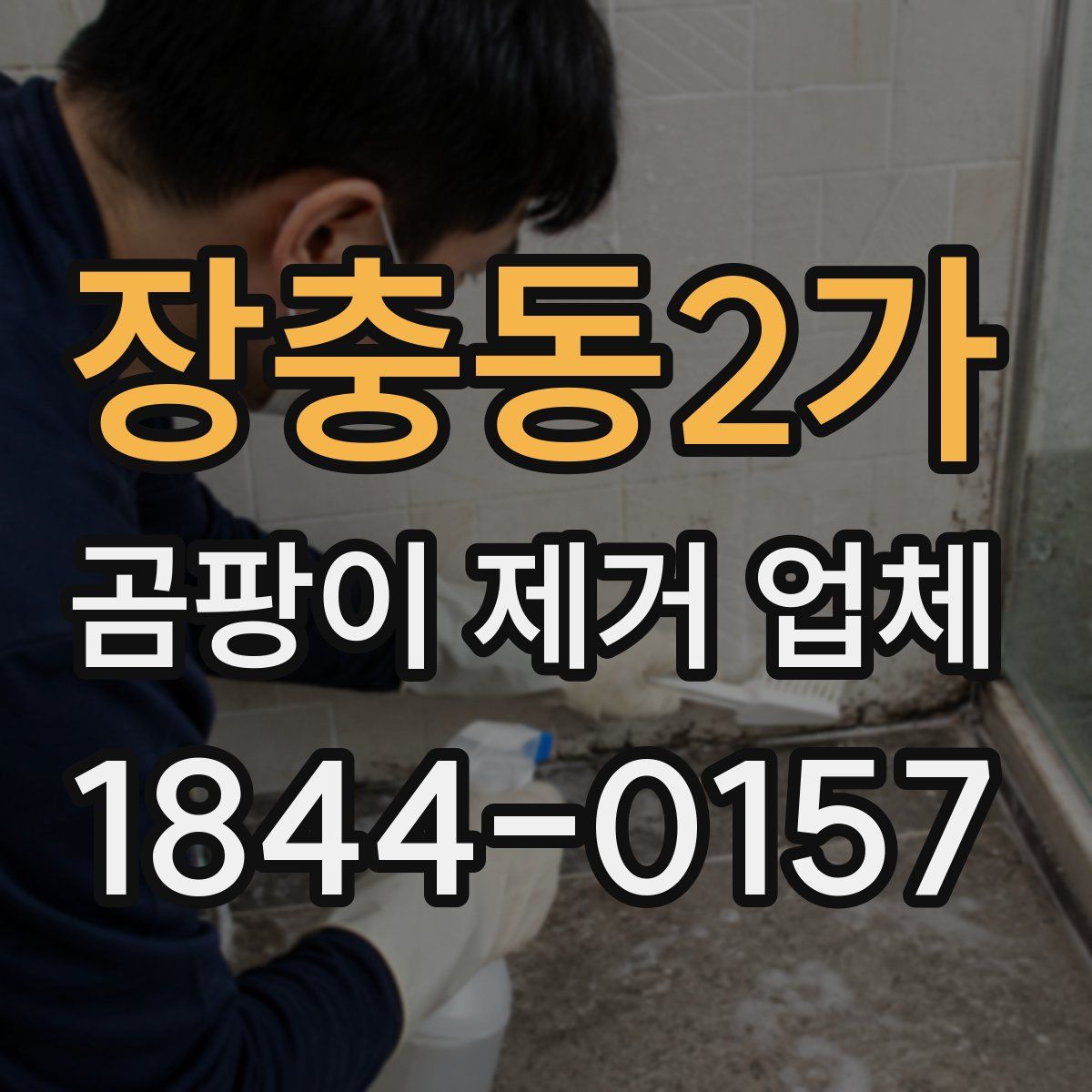 장충동2가 곰팡이 제거 업체
