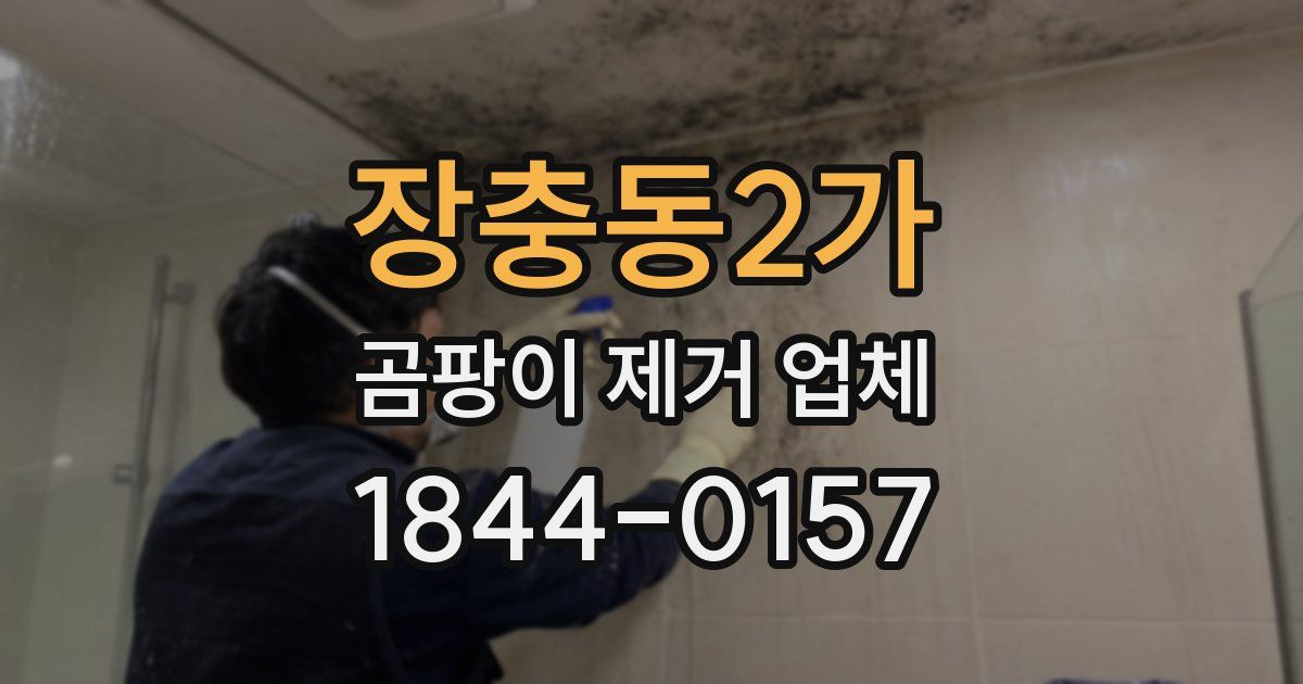 장충동2가 곰팡이 제거 업체