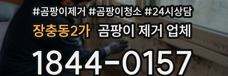 장충동2가 곰팡이 제거 업체