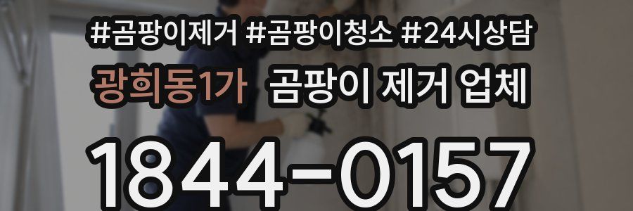 광희동1가 곰팡이 제거 업체